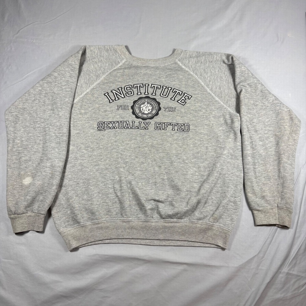 Vintage 80s Hanes Institute Sexually Gifted Sweatshirt XL Gray Raglan USA